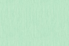 中国印刷科学技术研究院