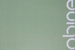 Papel-de-Parede-Revoada-Capa